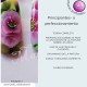 CURSO UÑAS NAIL ART FLORAL ONE STROKE
